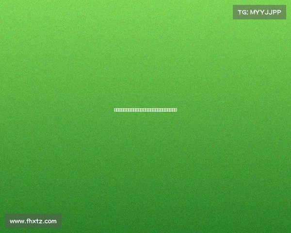 荣誉象征与文化传承：从历史到现代的象征意义与价值探索